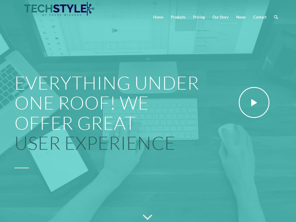 Business SaaS style demo